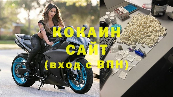 стаф Арсеньев