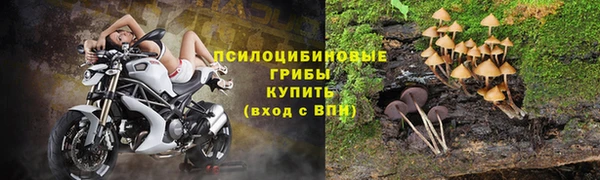 apvp Алексин