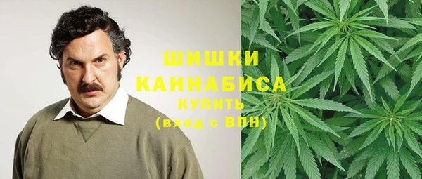 spice Алексеевка