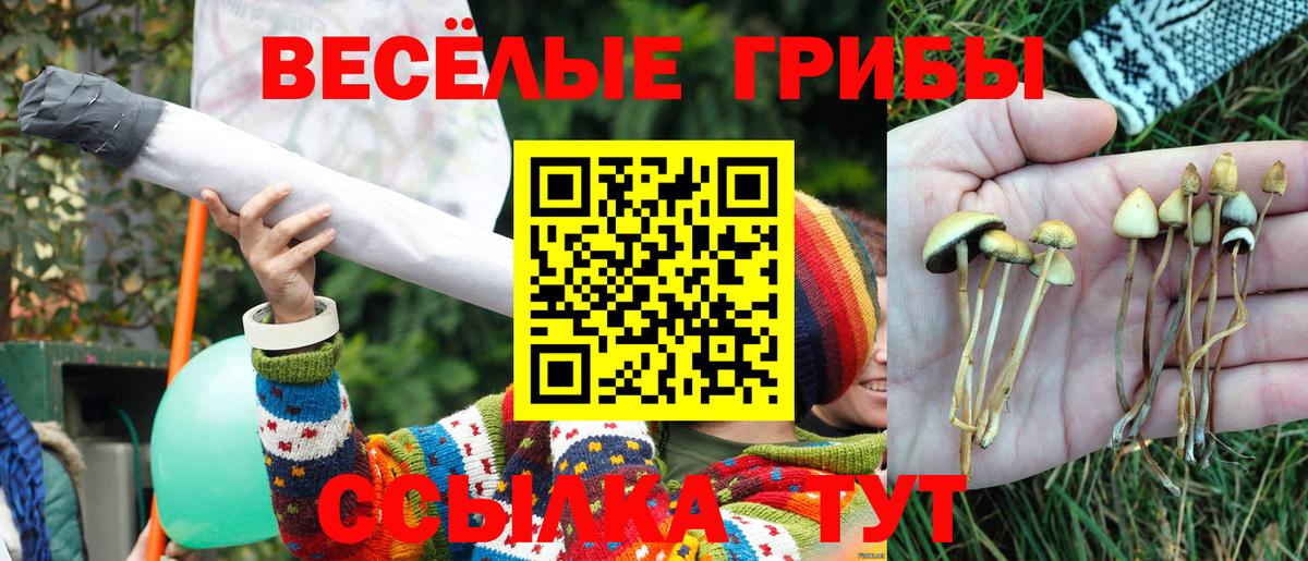 Галлюциногенные грибы Psilocybine cubensis  Вход с VPN  Тюмень 