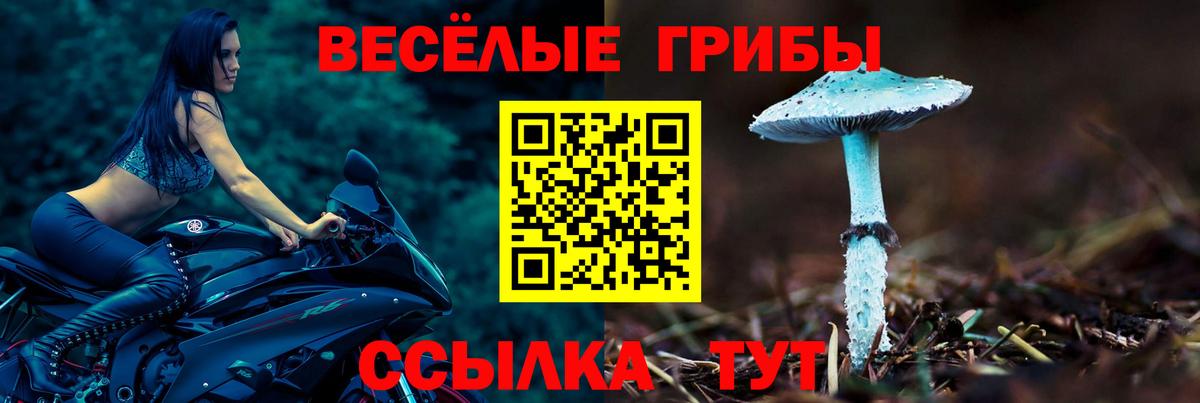 Псилоцибиновые грибы Cubensis Тюмень
